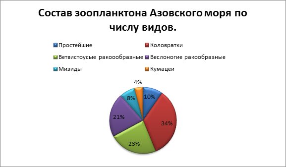 Диаграмма зоопланктона Азовского моря по числу видов</em>